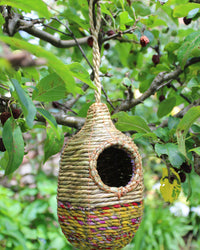 'Shesali' Artisan Wild Bird Nester
