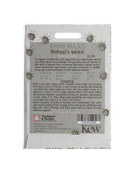 Kew Pollination Collection Ammi majus Seeds