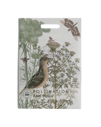Kew Pollination Collection Ammi majus Seeds