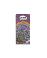 Aqua Annual Meadow Seed Mix