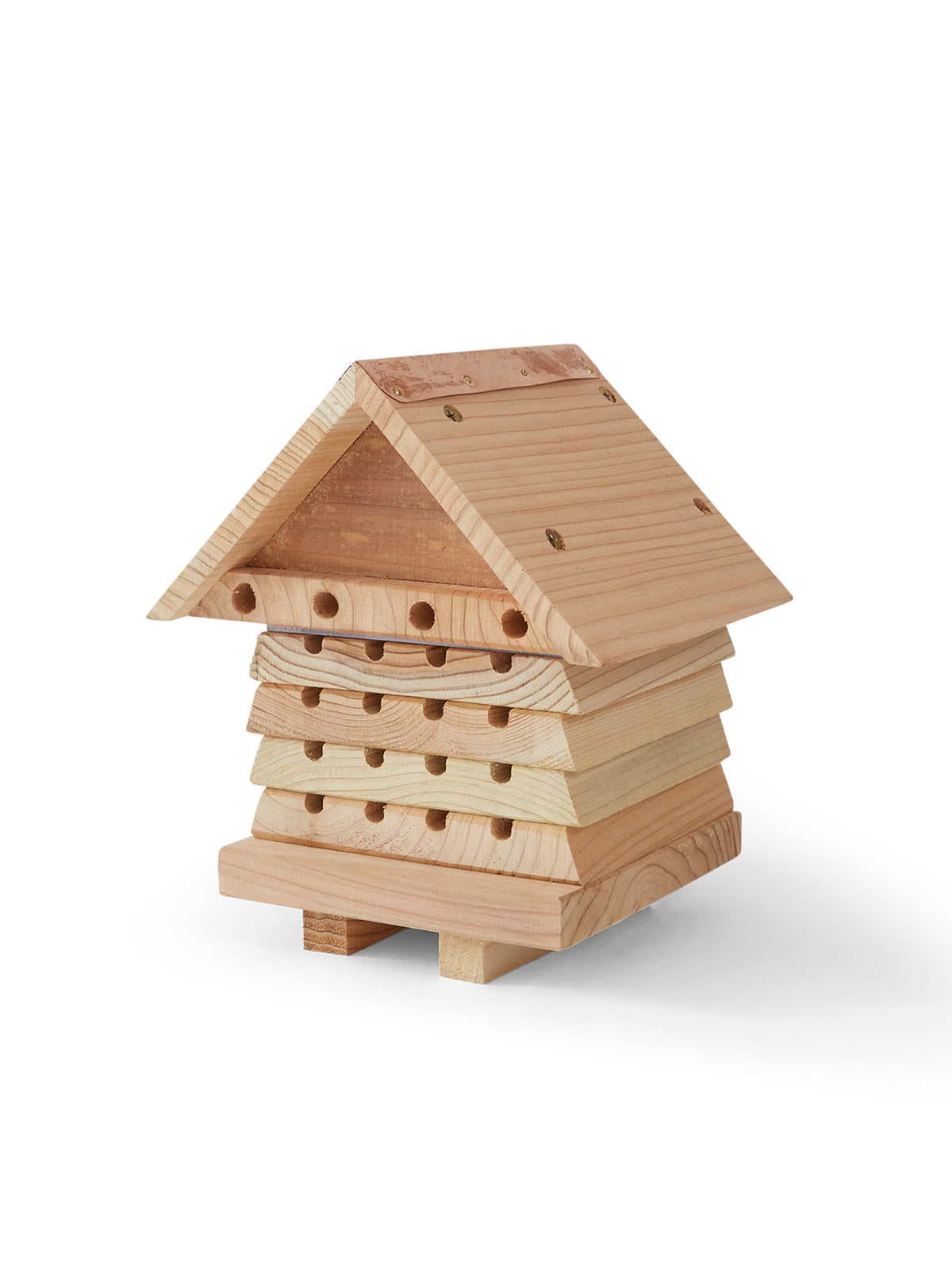Interactive Solitary Bee Hive