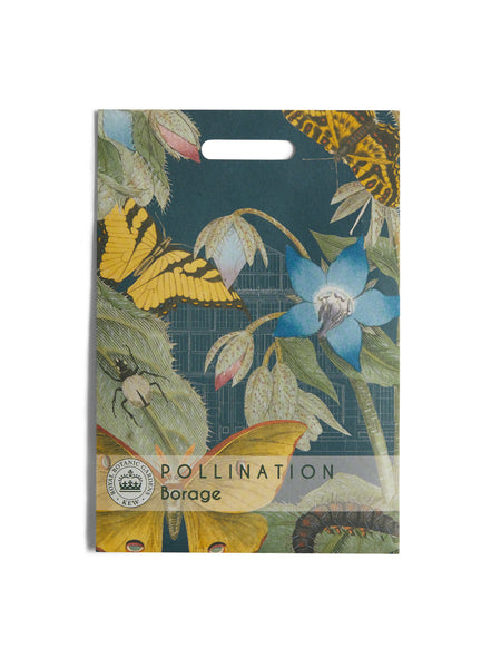 Kew Pollination Collection Borage Seeds