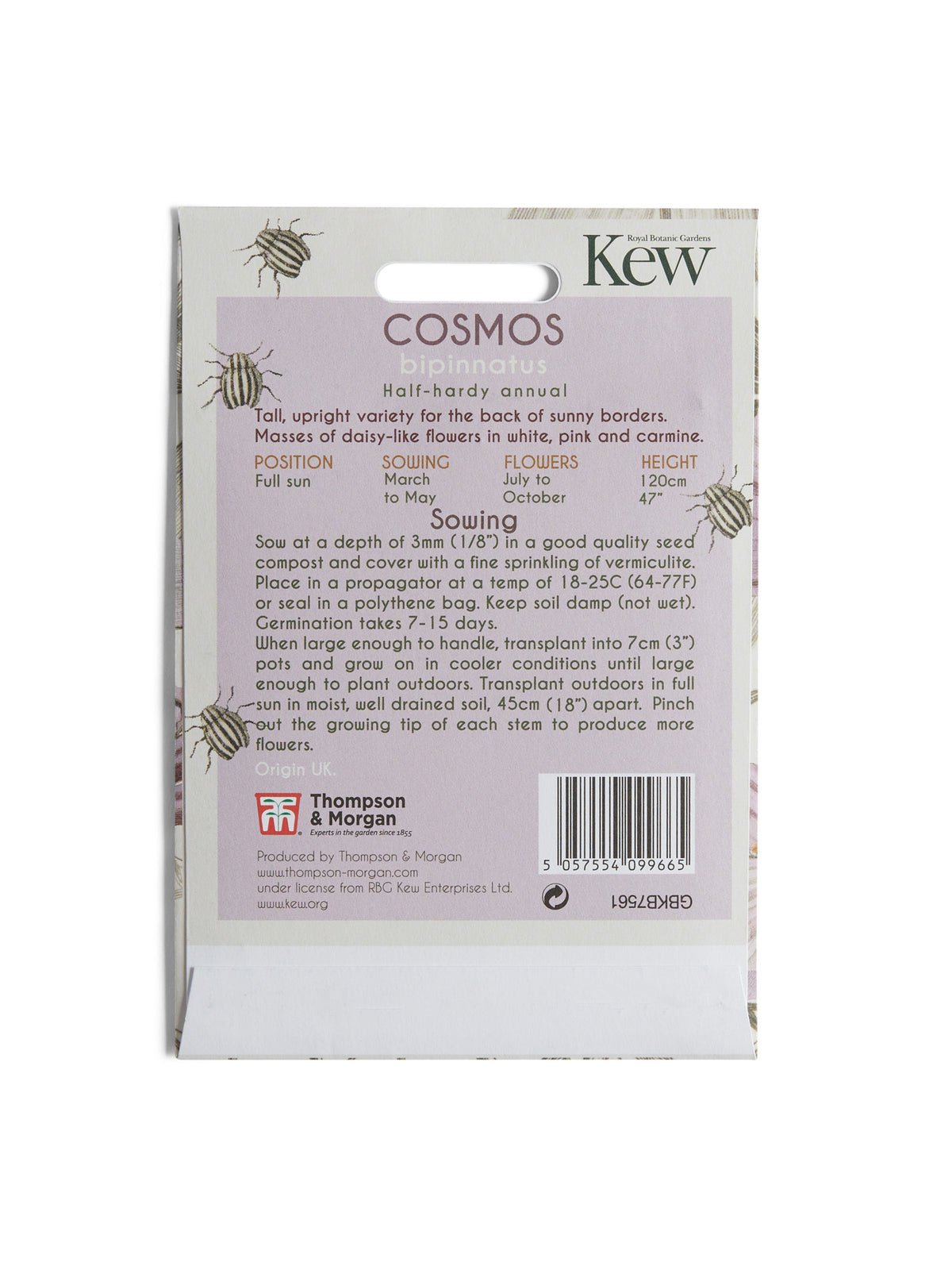 Kew Pollination Collection Cosmos bipinnatus Seeds