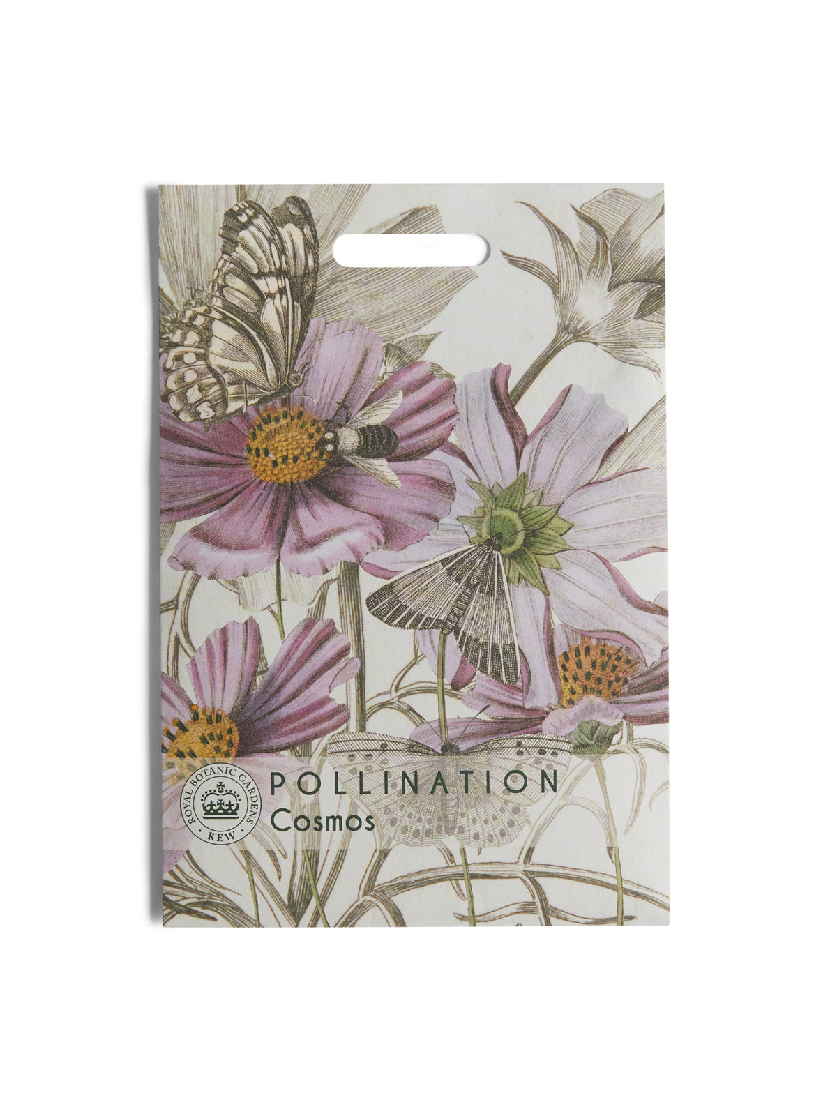 Kew Pollination Collection Cosmos bipinnatus Seeds