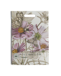 Kew Pollination Collection Cosmos bipinnatus Seeds