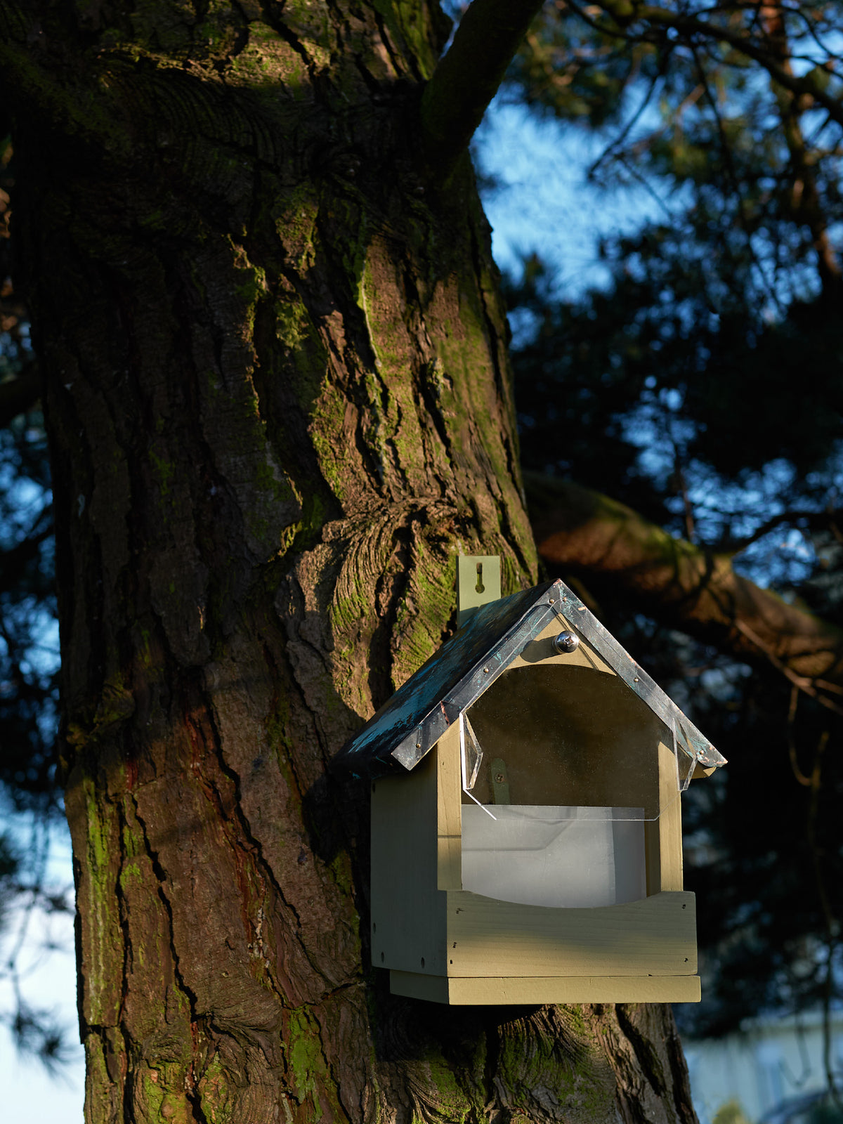 Squirrel Feeder