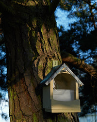 Squirrel Feeder