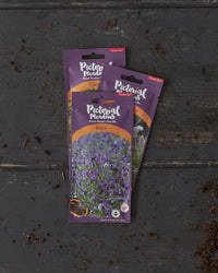 Aqua Annual Meadow Seed Mix