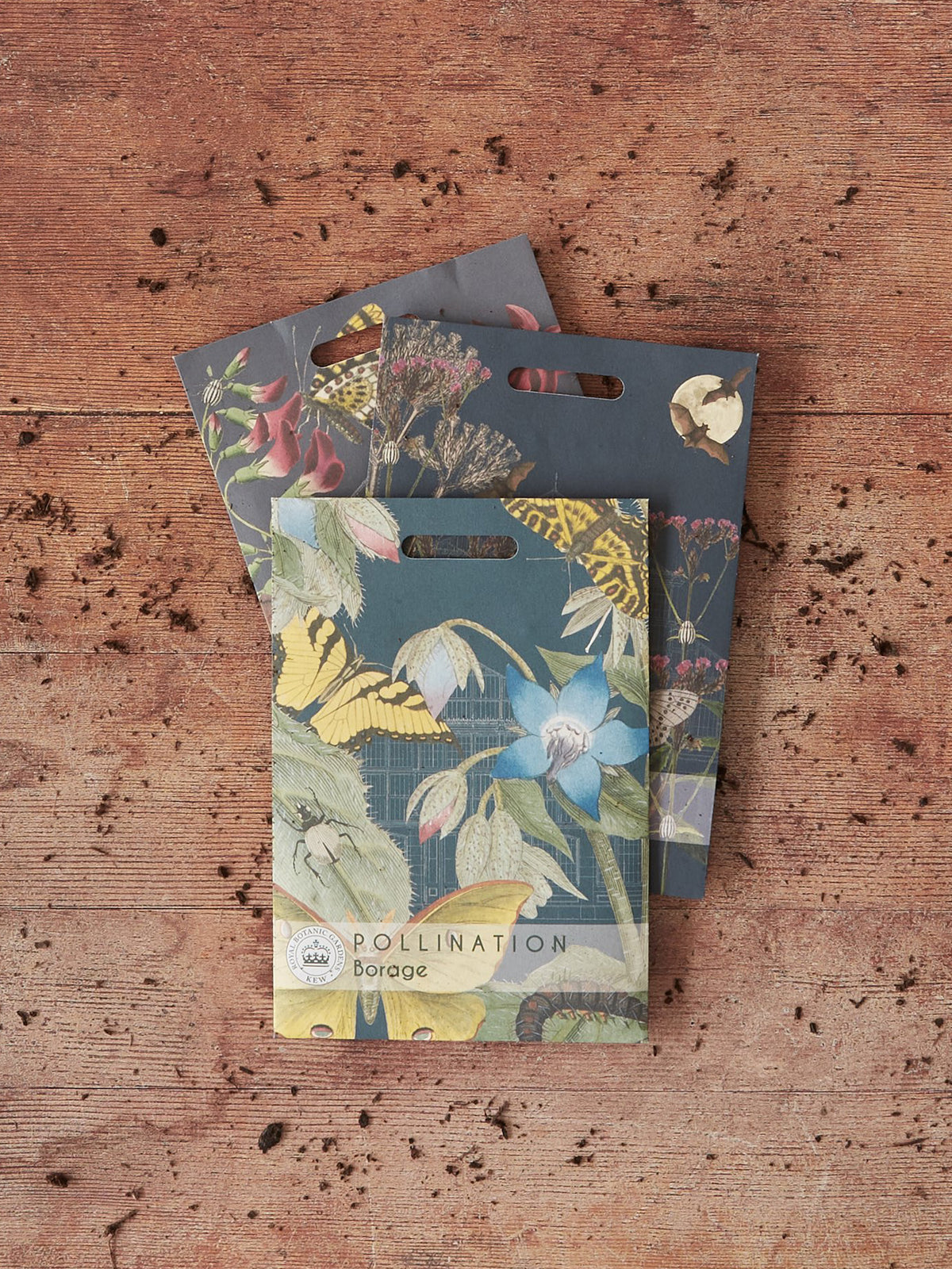 Kew Pollination Collection Borage Seeds