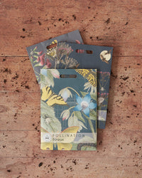 Kew Pollination Collection Borage Seeds