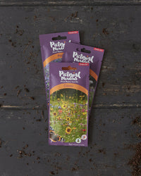 Classic Annual Meadow Seed Mix
