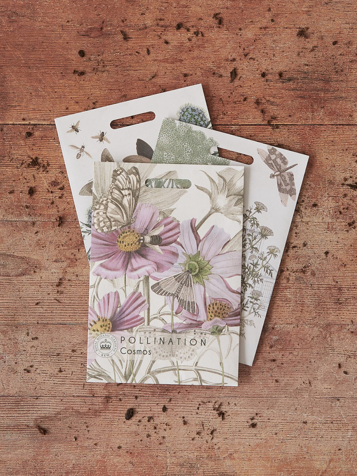 Kew Pollination Collection Cosmos bipinnatus Seeds