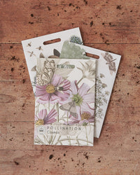 Kew Pollination Collection Cosmos bipinnatus Seeds