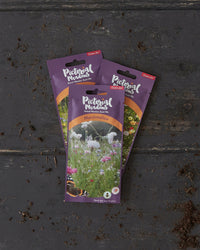 Marshmallow Annual Meadow Seed Mix