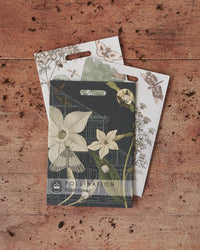 Kew Pollination Collection Nicotiana alata