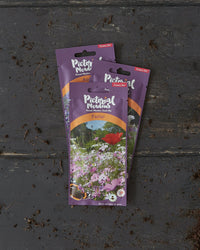Pastel Annual Meadow Seed Mix