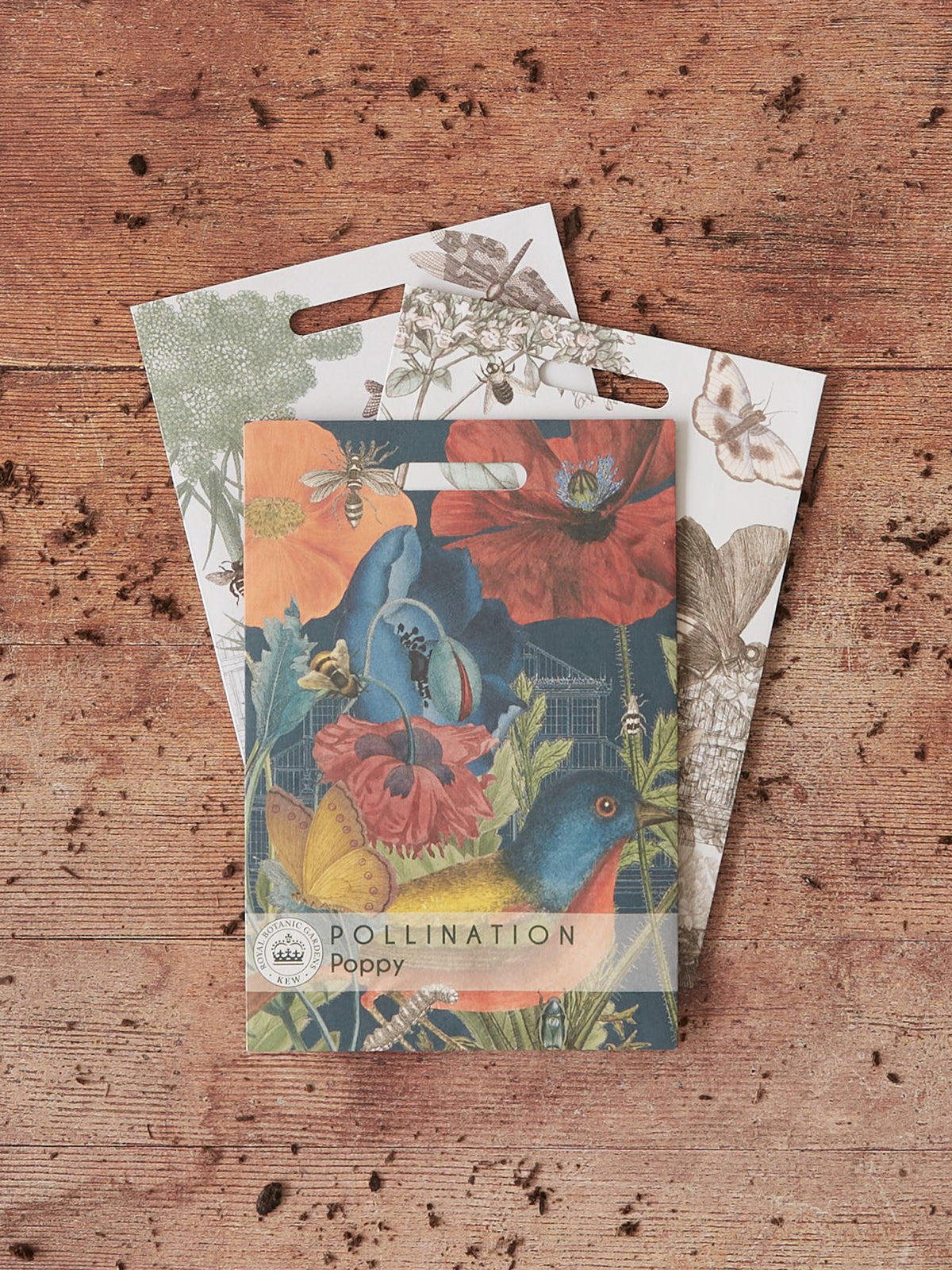 Kew Pollination Collection Wild Poppy