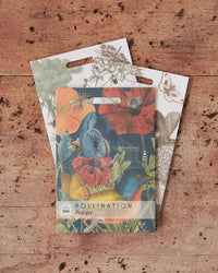 Kew Pollination Collection Wild Poppy