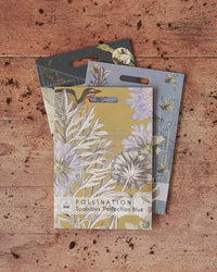Kew Pollination Collection Scabious 'Perfection Blue'