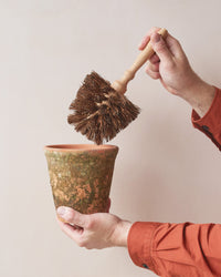 Redecker Flowerpot Brush