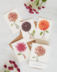 Laura Stoddart Dahlia Notecards