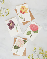 Laura Stoddart In Bloom Notecards