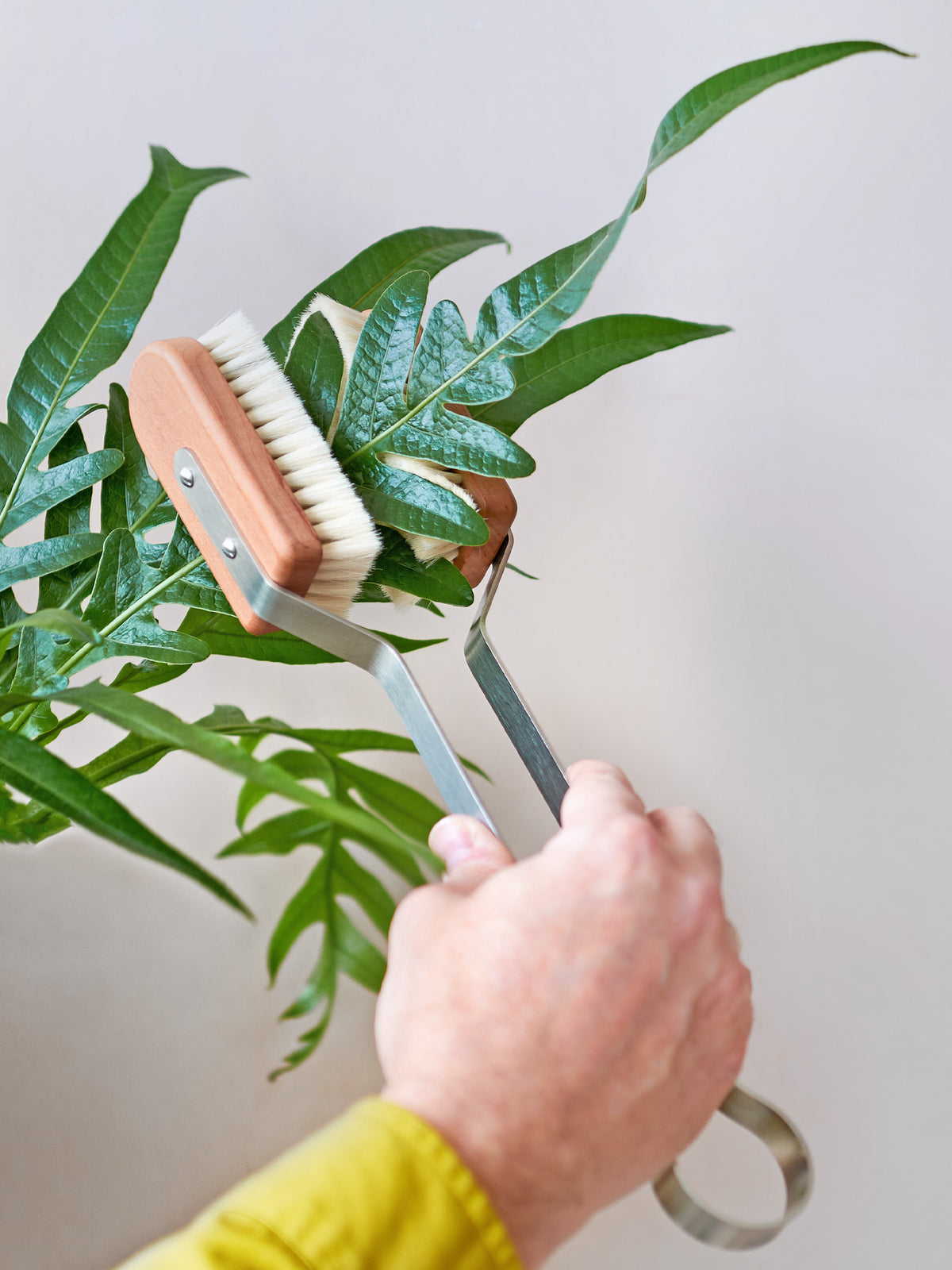 indoor plant leaf brush Redecker Leaf Cleaning Plant Brush – Dan Cooper Garden