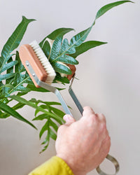 Redecker Leaf Cleaning Plant Brush