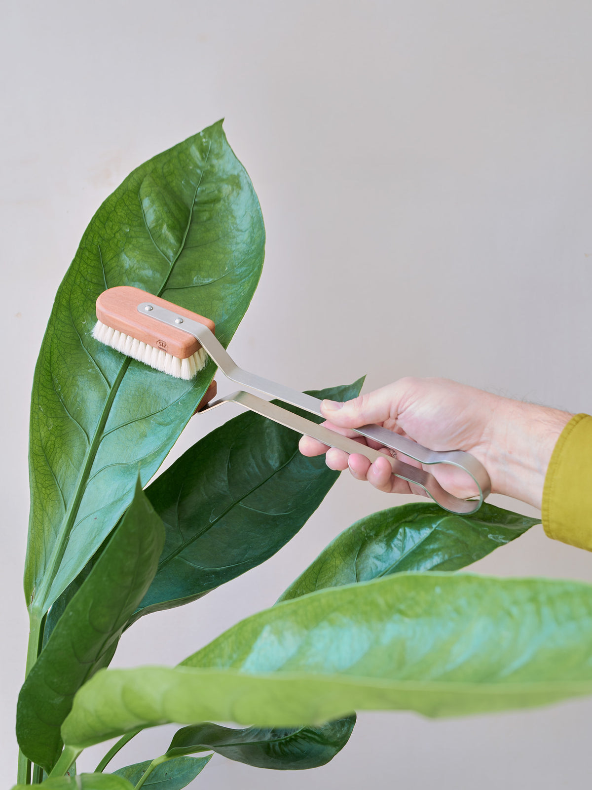 indoor plant leaf brush Redecker Leaf Cleaning Plant Brush – Dan Cooper Garden