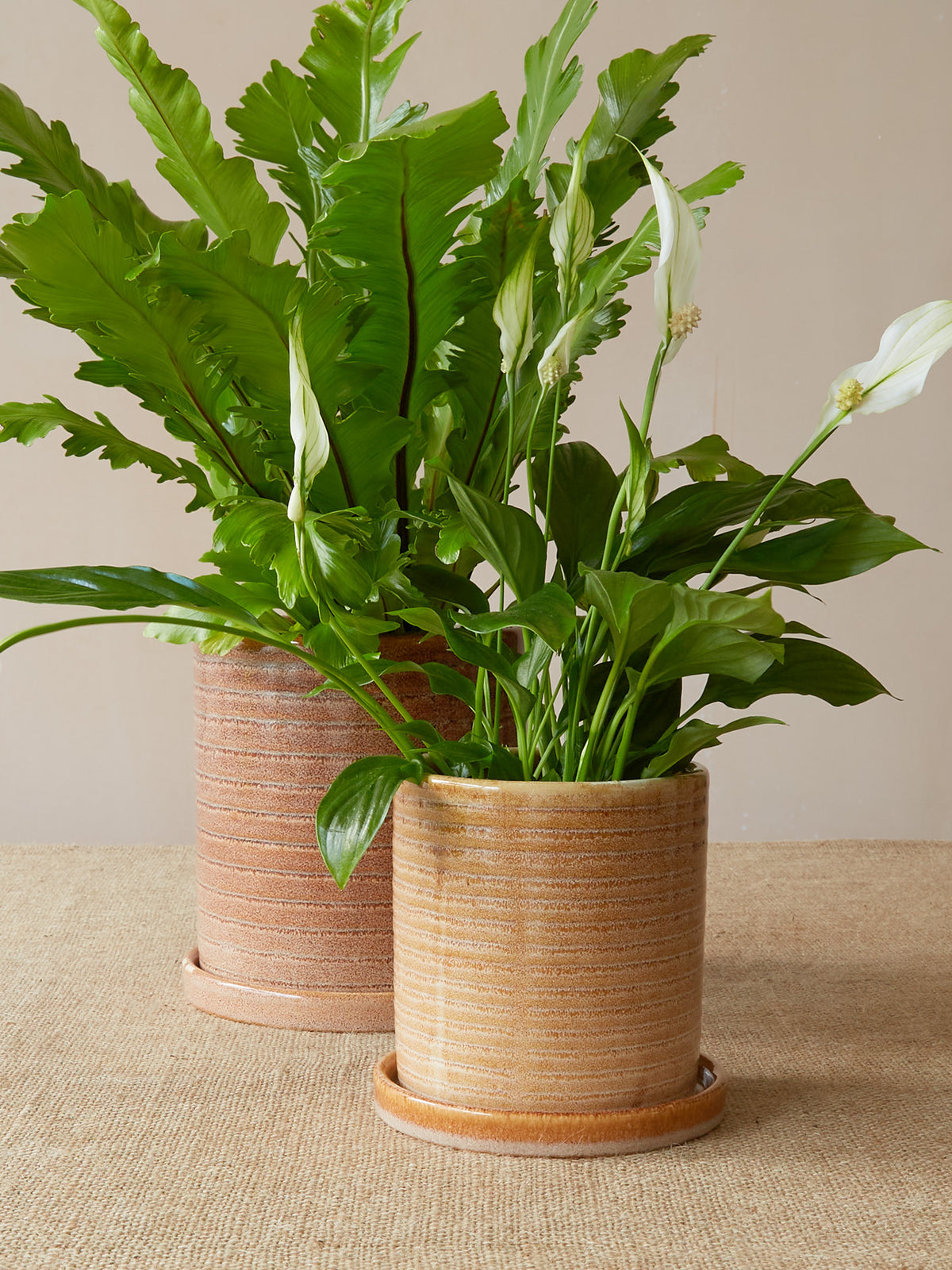 'Miriam' Glazed Planter, Small
