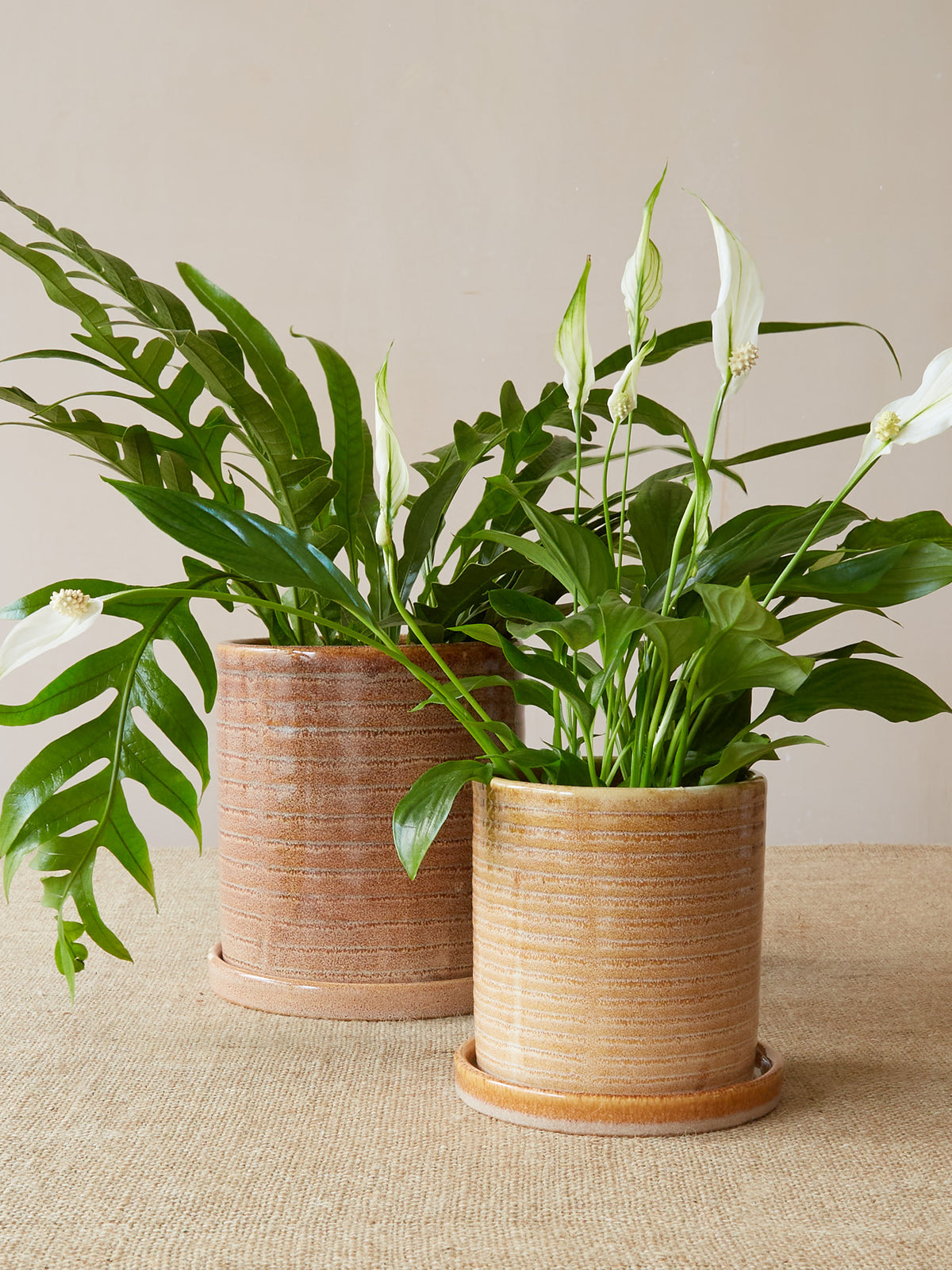 'Miriam' Glazed Planter, Large