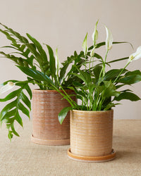 'Miriam' Glazed Planter, Large