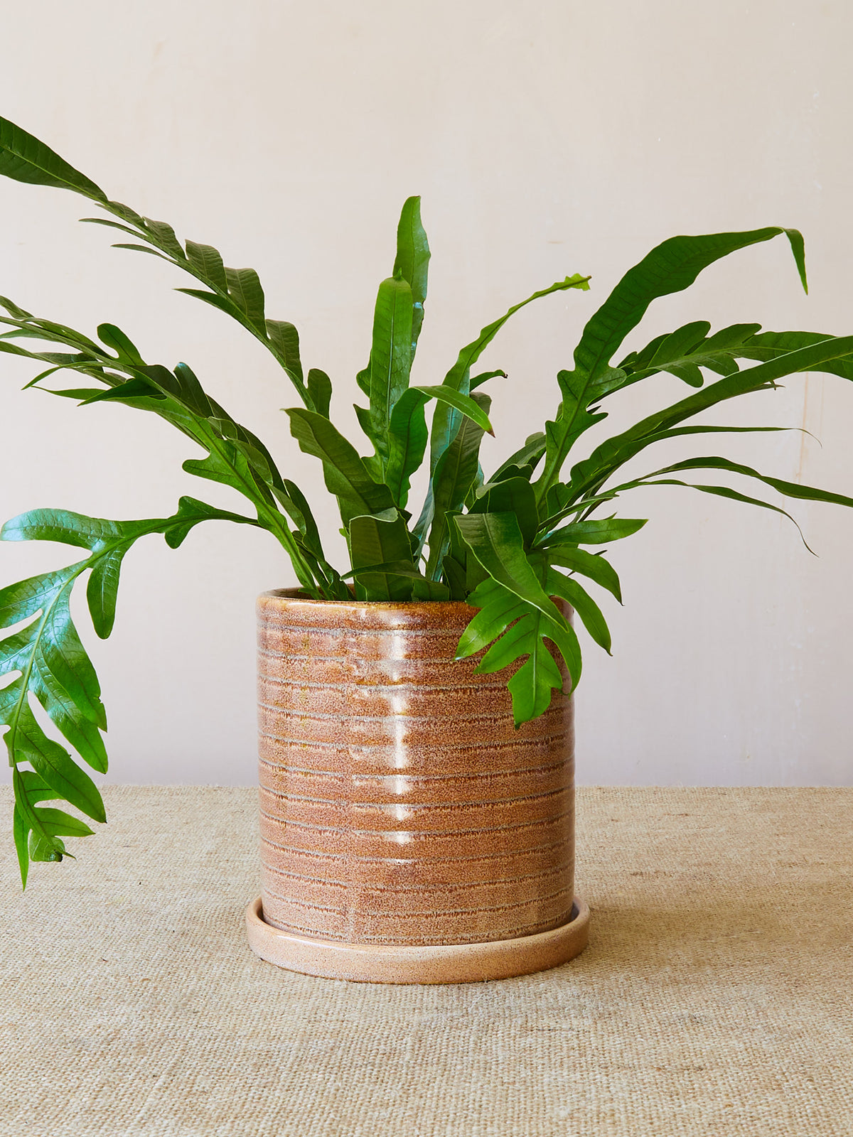 'Miriam' Glazed Planter, Large