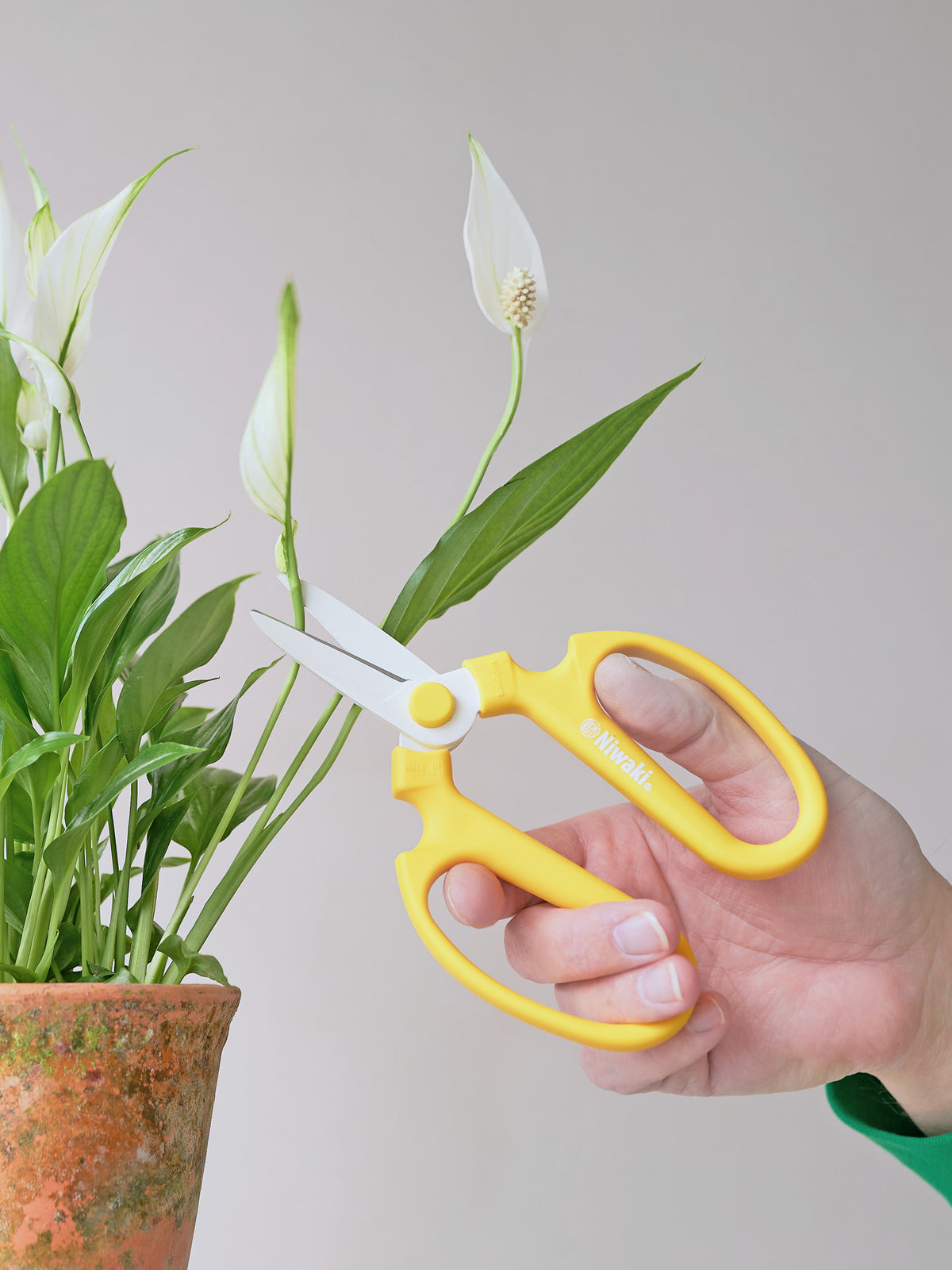 Niwaki Sakagen Flower Scissors, Yellow
