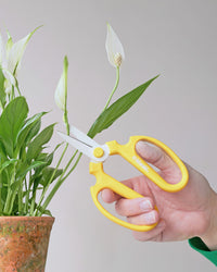 Niwaki Sakagen Flower Scissors, Yellow