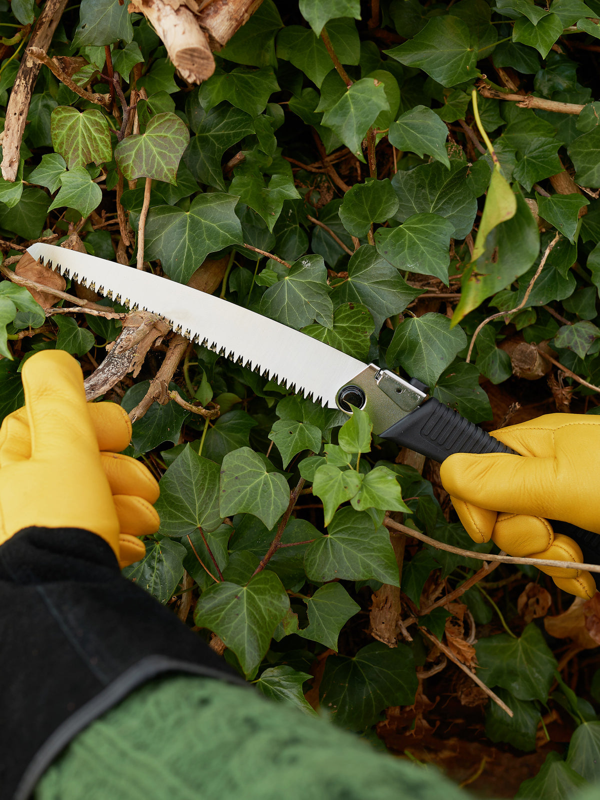 Folding shop tree saw