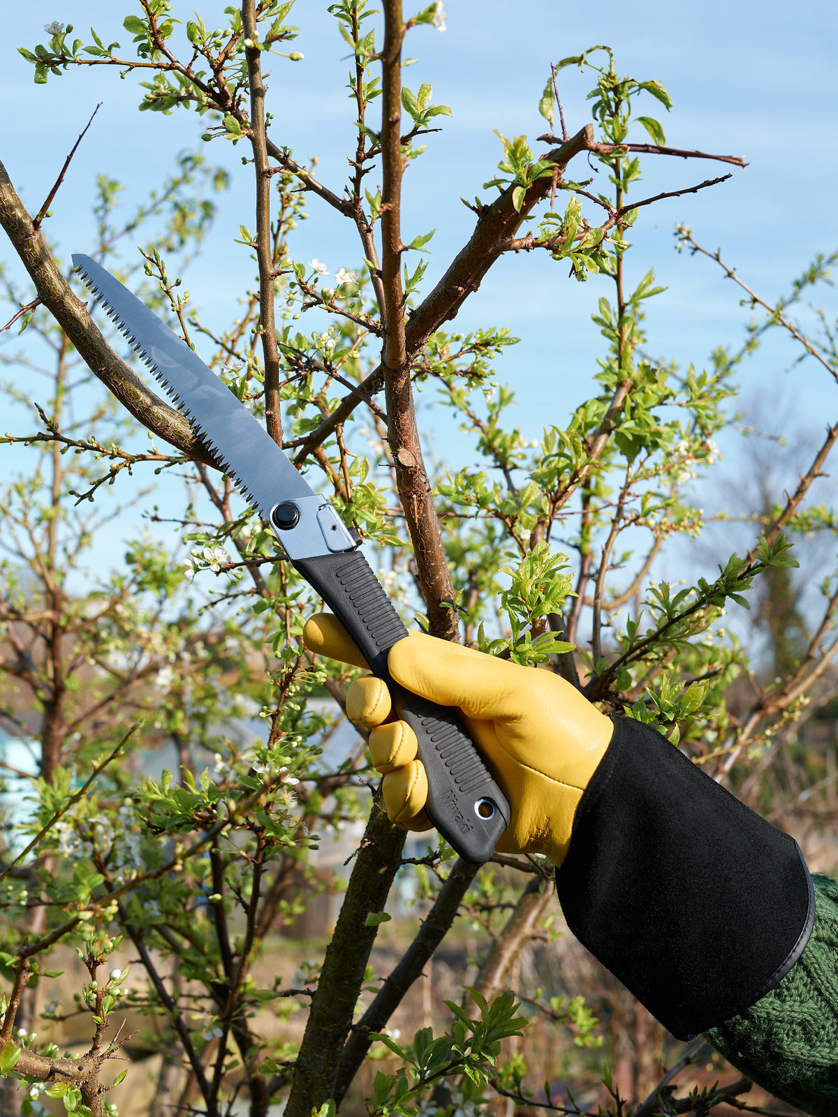 Niwaki GR210 Folding Pruning Saw