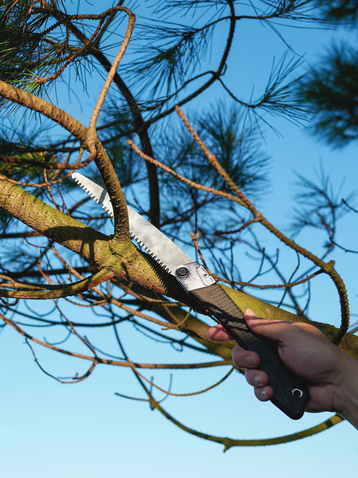 Niwaki GR210 Folding Pruning Saw