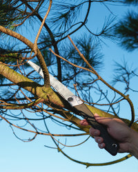 Niwaki GR210 Folding Pruning Saw