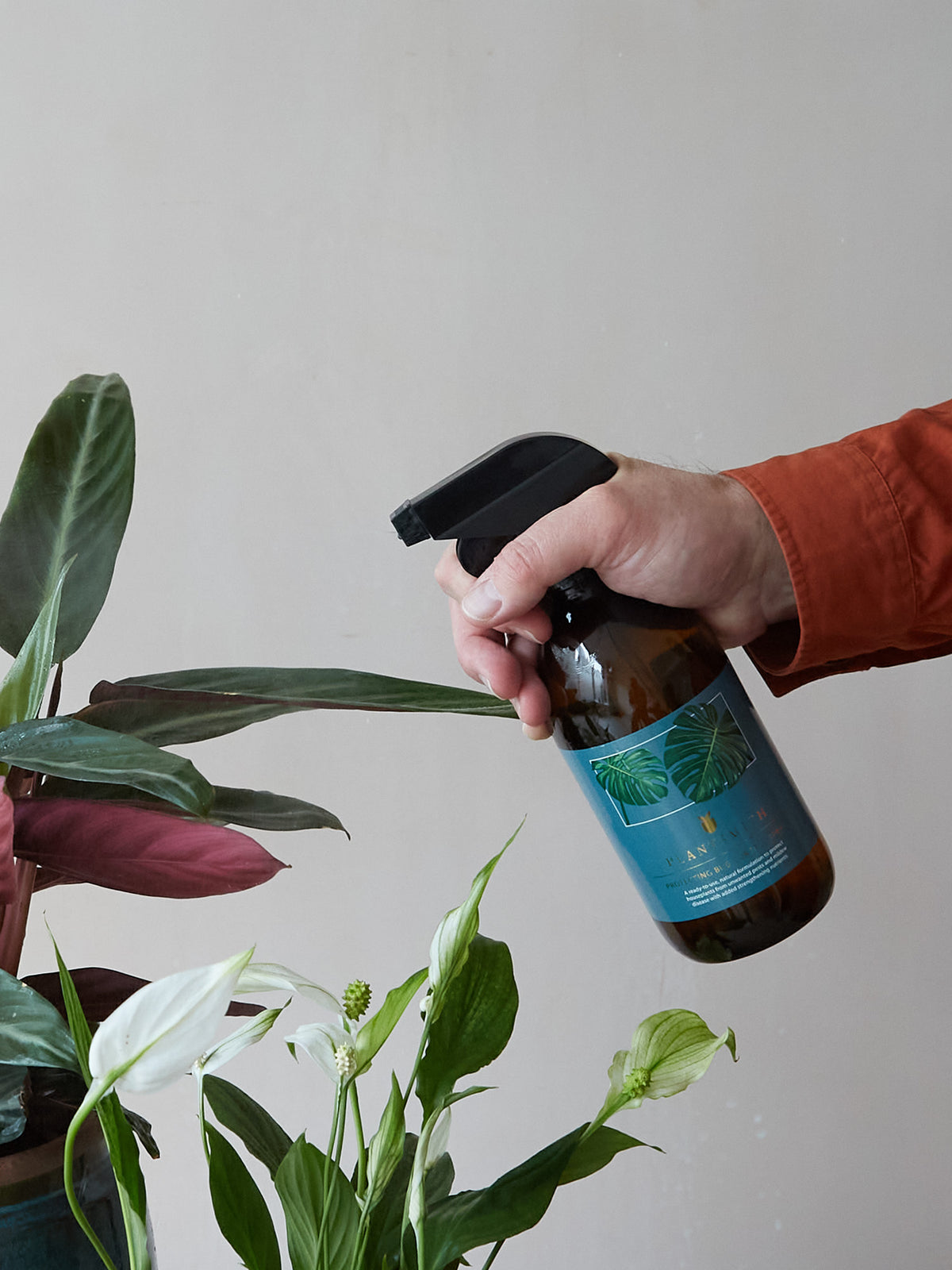 Plantsmith House Plant Bug Control