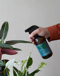 Plantsmith House Plant Bug Control