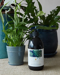 Plantsmith Fortifying Houseplant Tonic