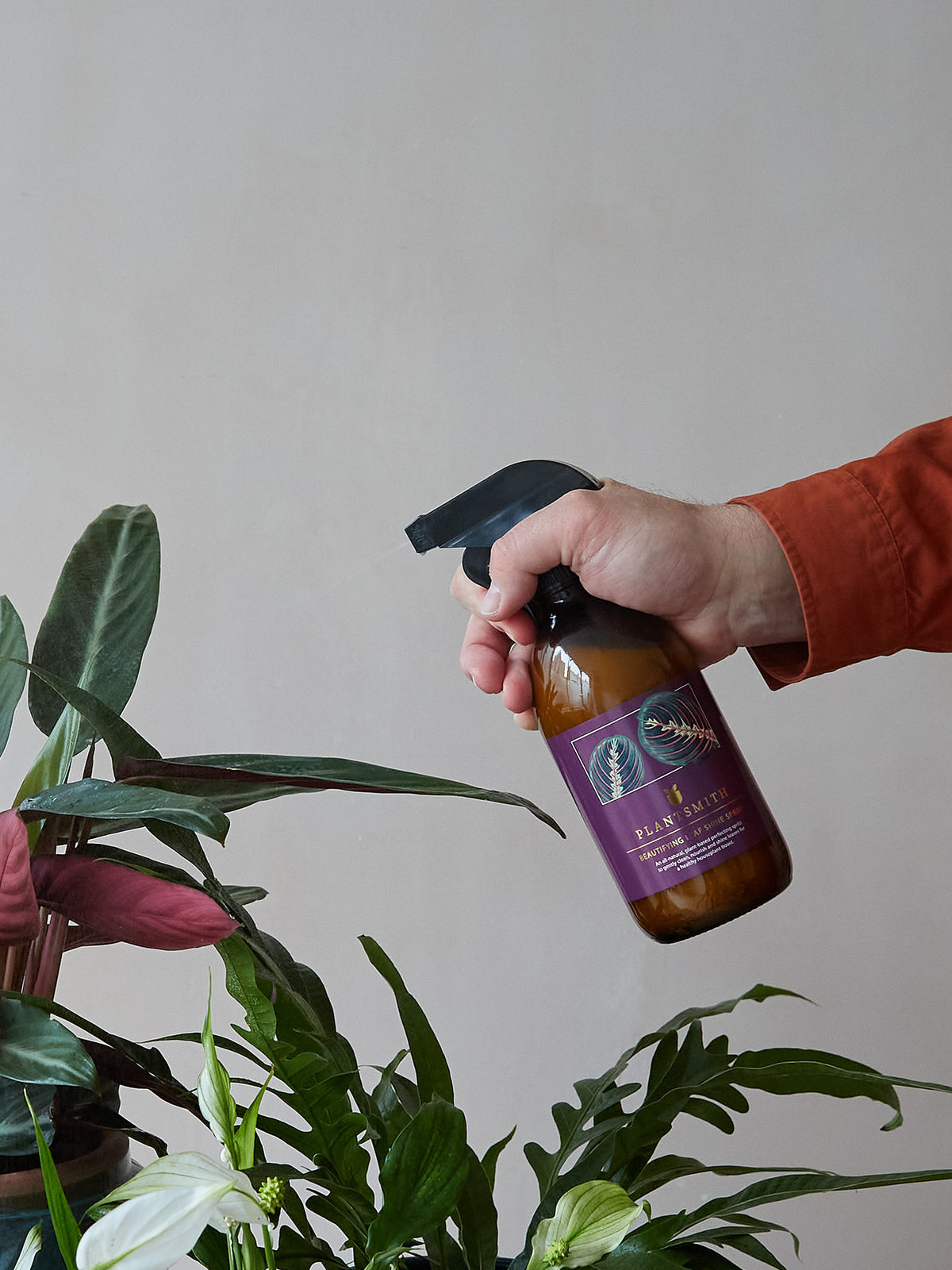 house plant leaf shine Plantsmith Beautifying Leaf Shine Spray – Dan Cooper Garden