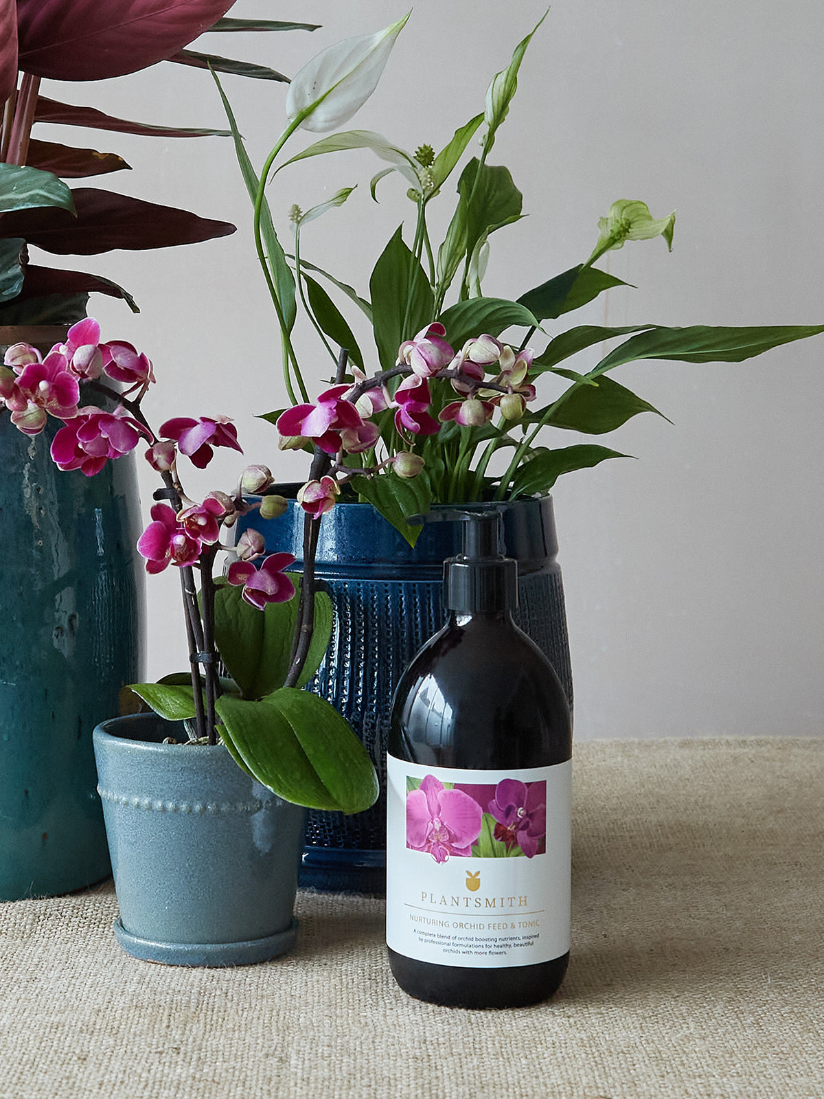 Plantsmith Nurturing Orchid Feed & Tonic