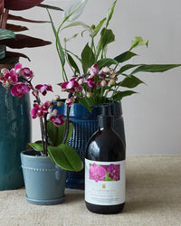 Plantsmith Nurturing Orchid Feed & Tonic