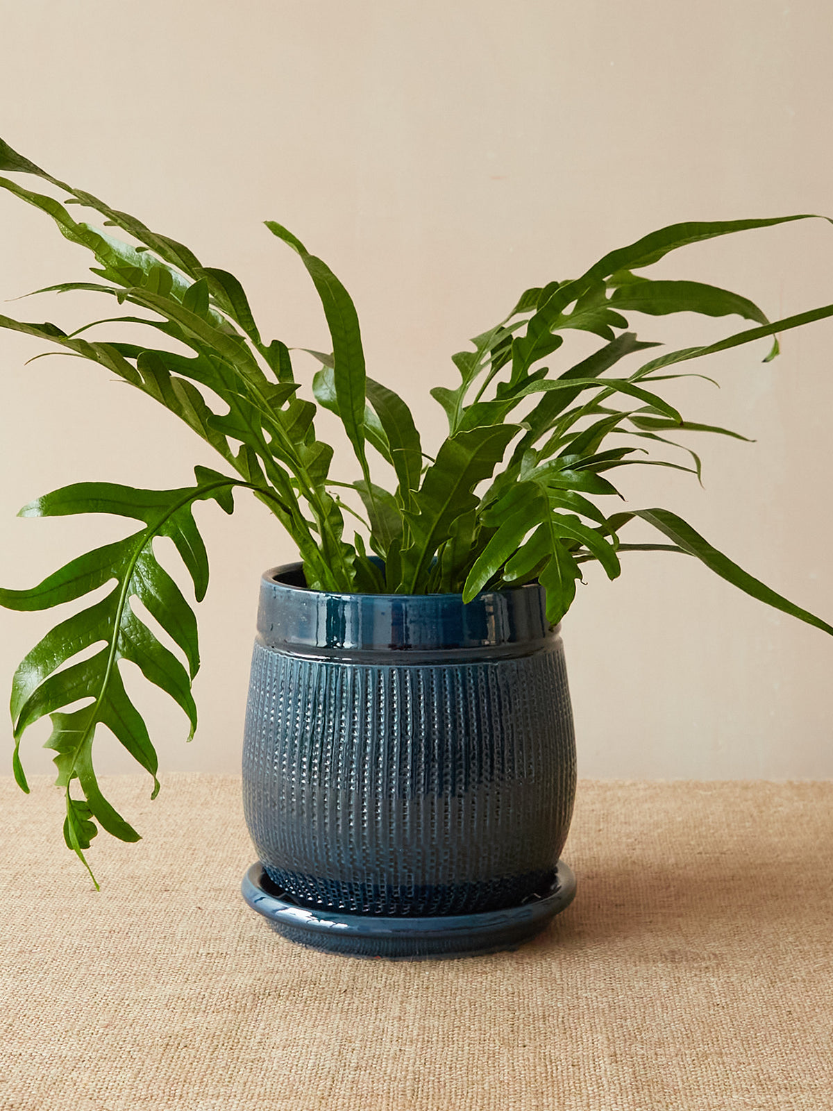 'Santorini' Dark Blue Pot And Saucer