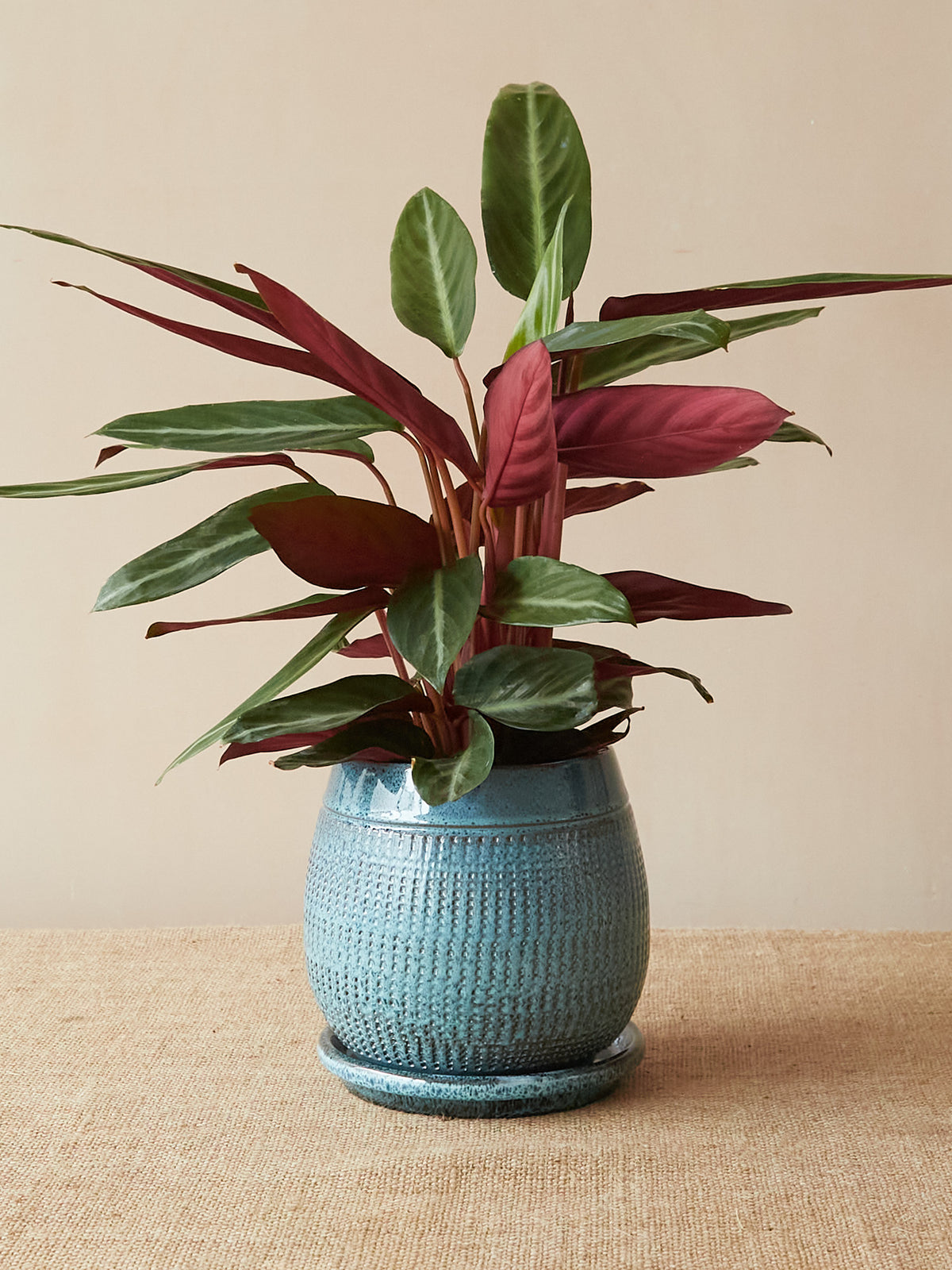'Santorini' Light Blue Pot and Saucer