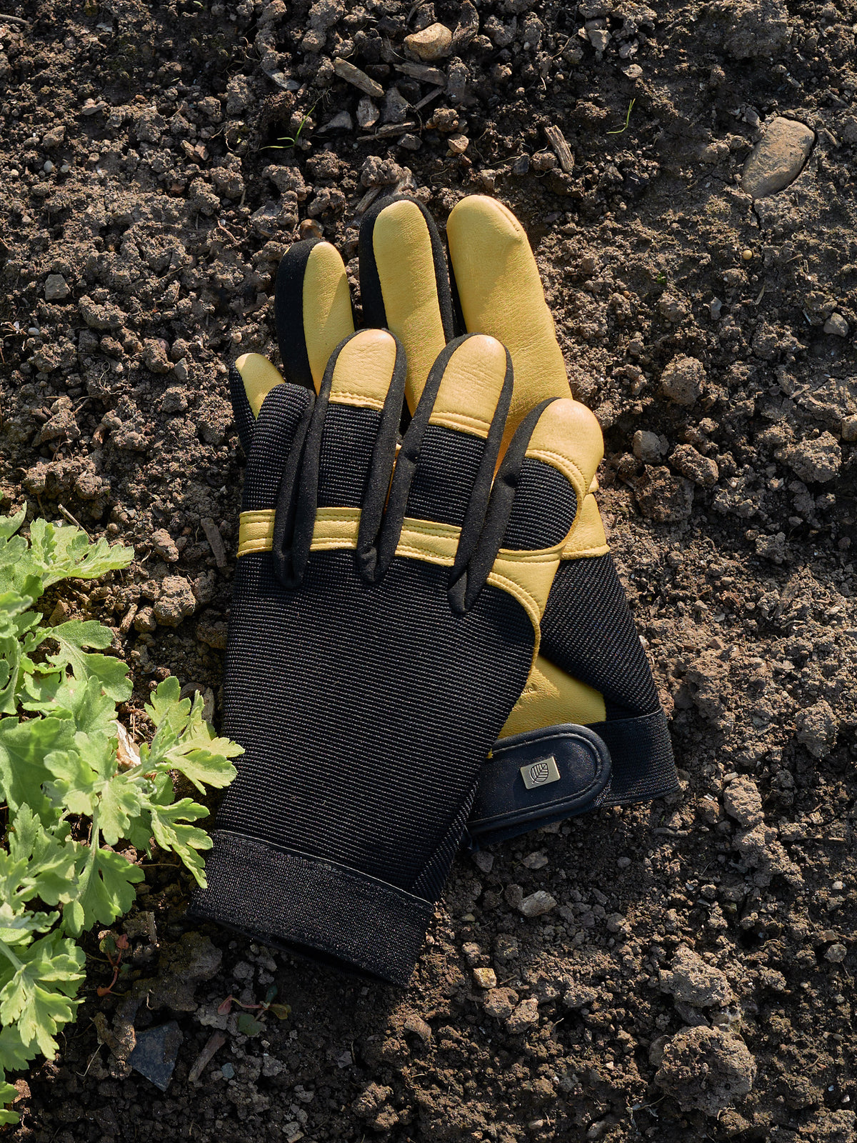 Gold Leaf Soft Touch Gardening Gloves, Mens