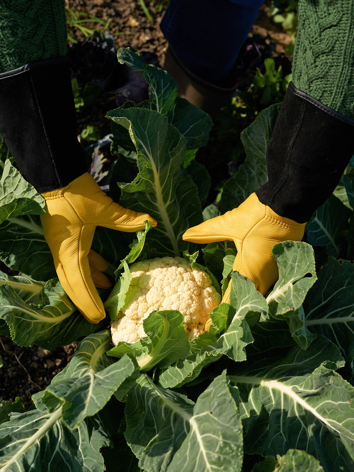 Gold Leaf Tough Touch Gardening Gloves, Mens