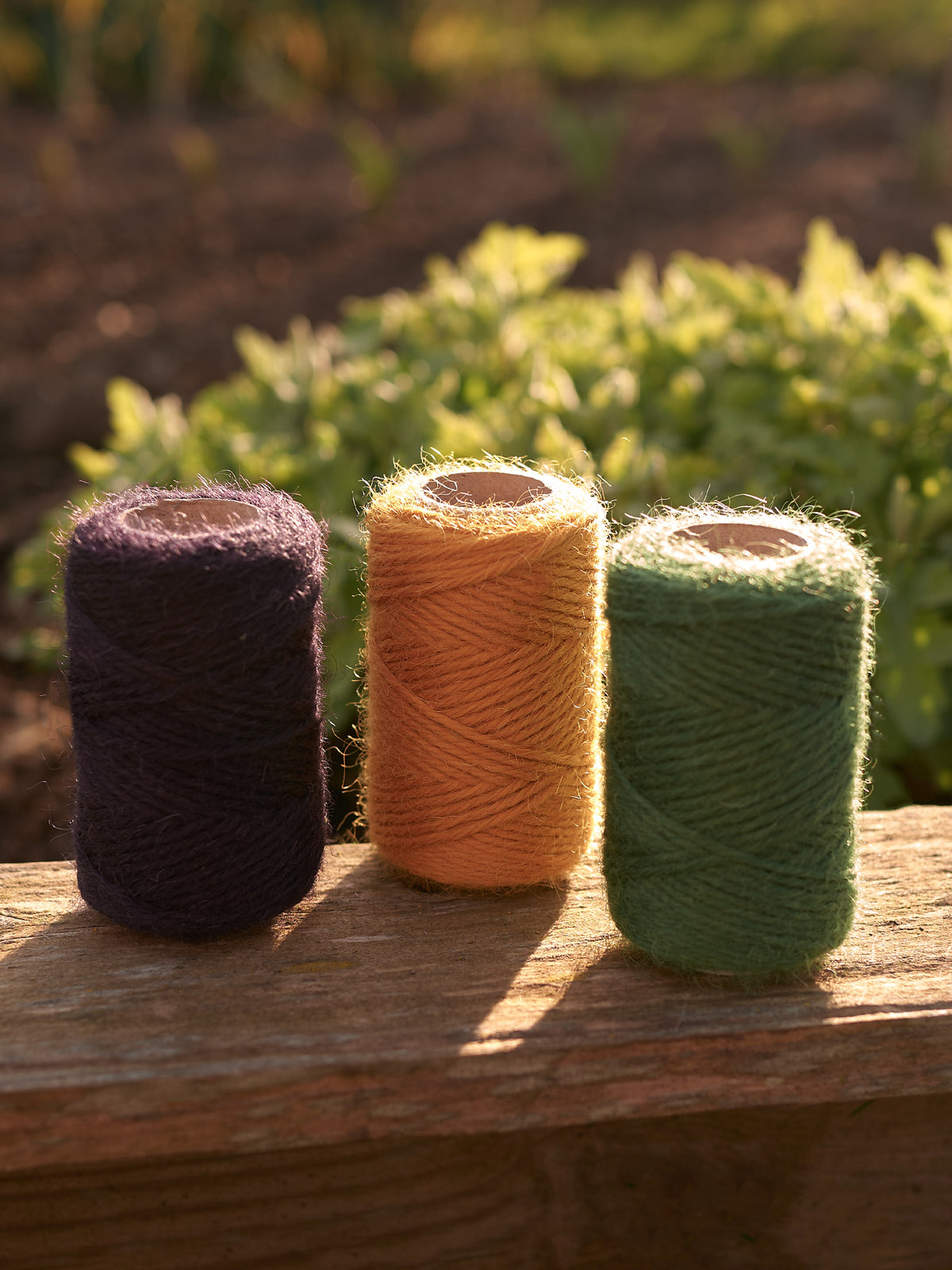 Twool Twine Widecombe Fair Gift Box